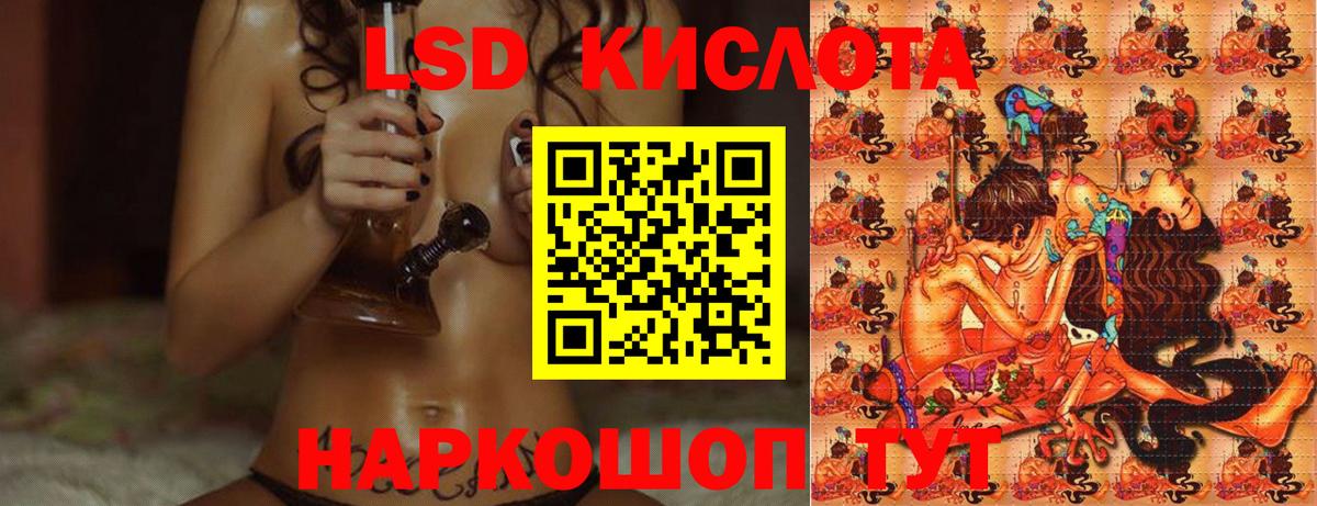 Лсд 25 экстази ecstasy  Лсд 25 экстази ecstasy  Бердск  Вход с VPN 